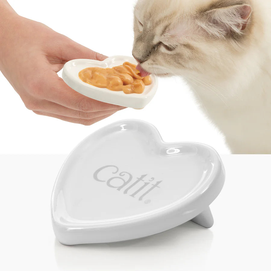Accesorios para gatos