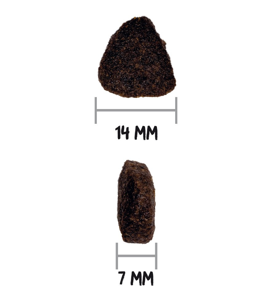 Ownat Just Canine Adult grain Free Salmon