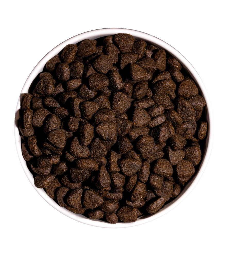 Ownat Just Canine Adult grain Free Salmon