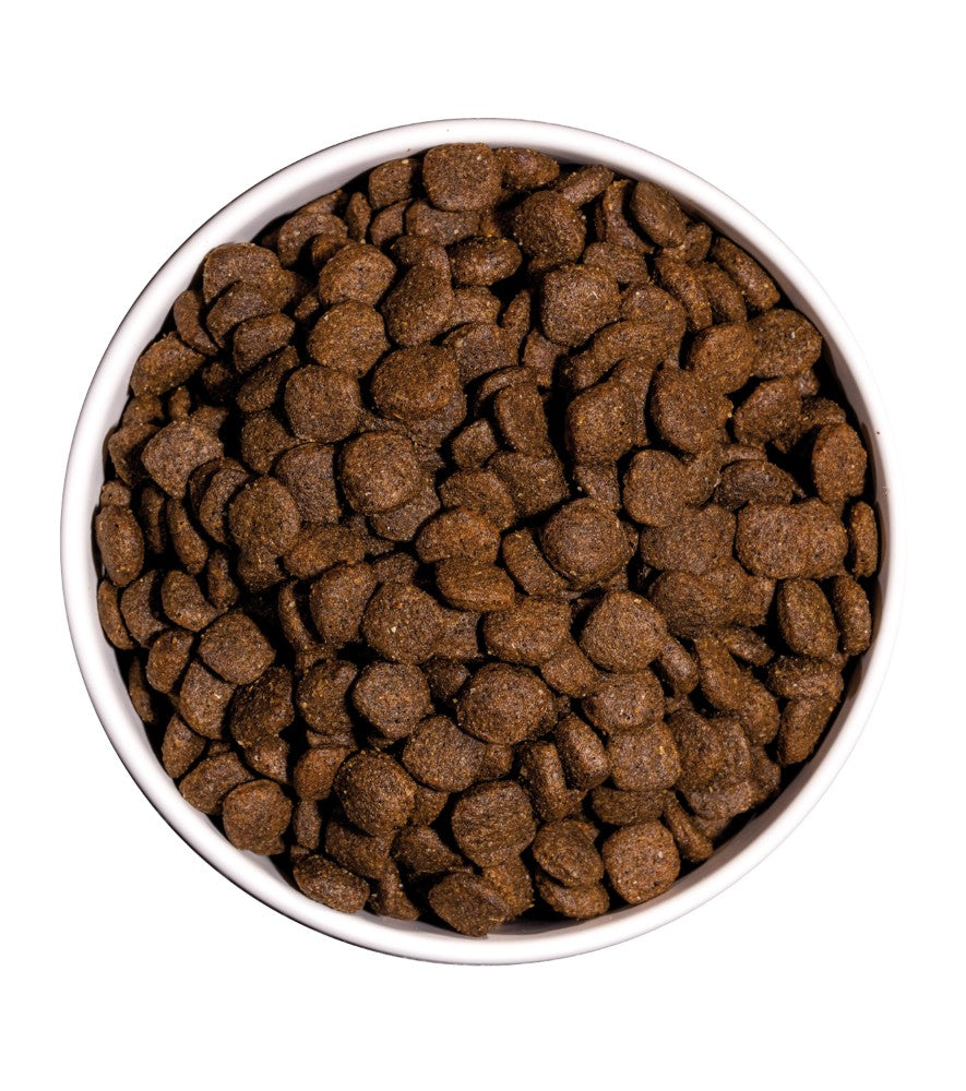 Ownat Ultra Medium Junior Dog