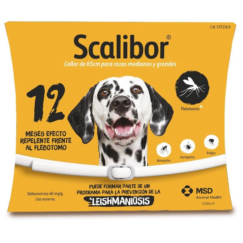 SCALIBOR (65cm)
