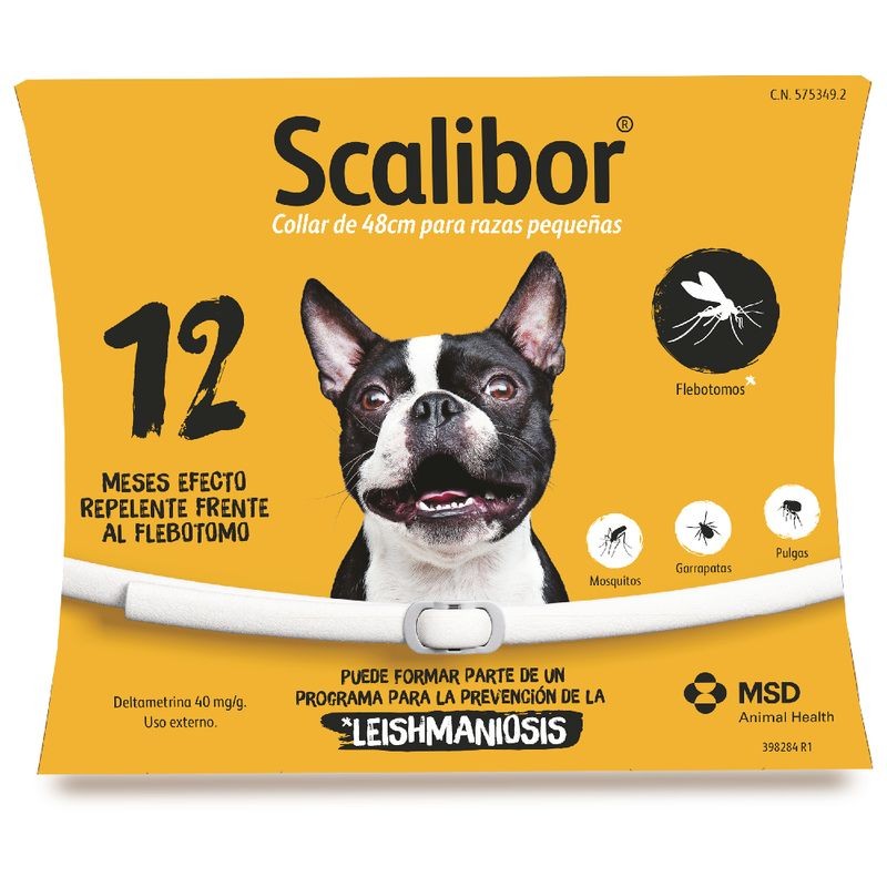 SCALIBOR (48cm)