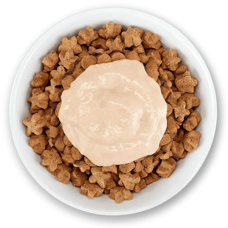 Snack Schesir Cat Stix Salmón