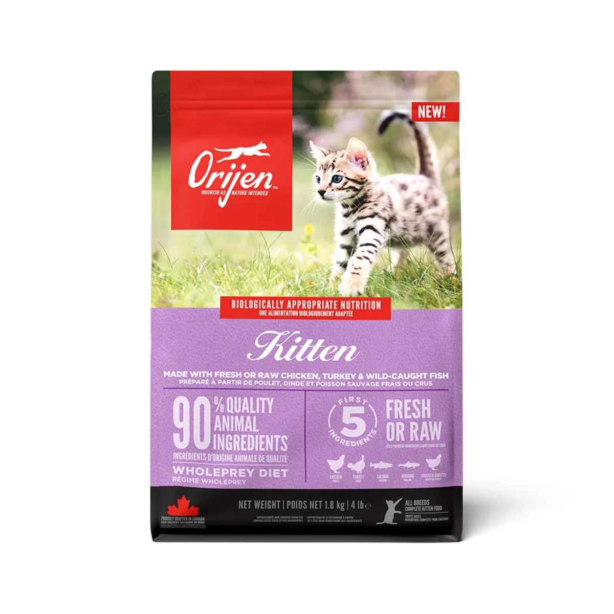 Pienso Orijen Feline Kitten