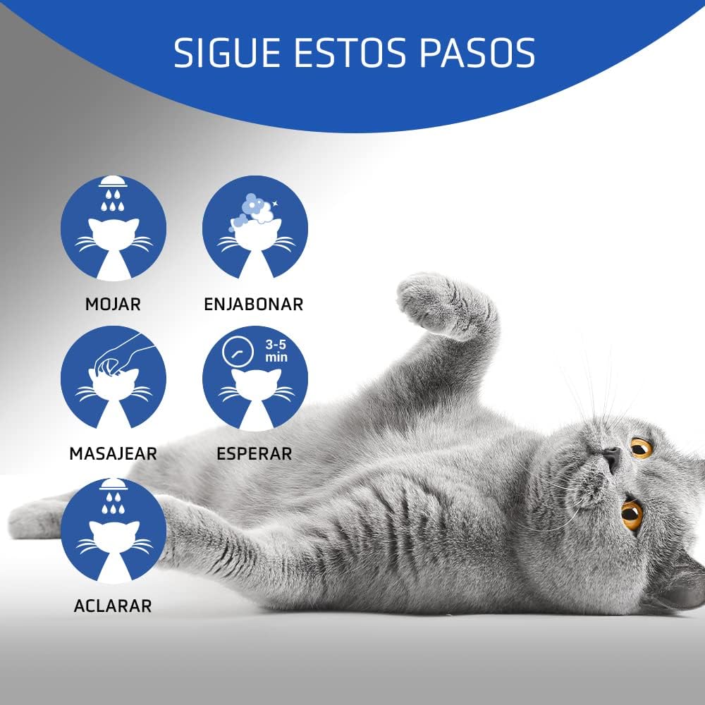 Artero Champu gato