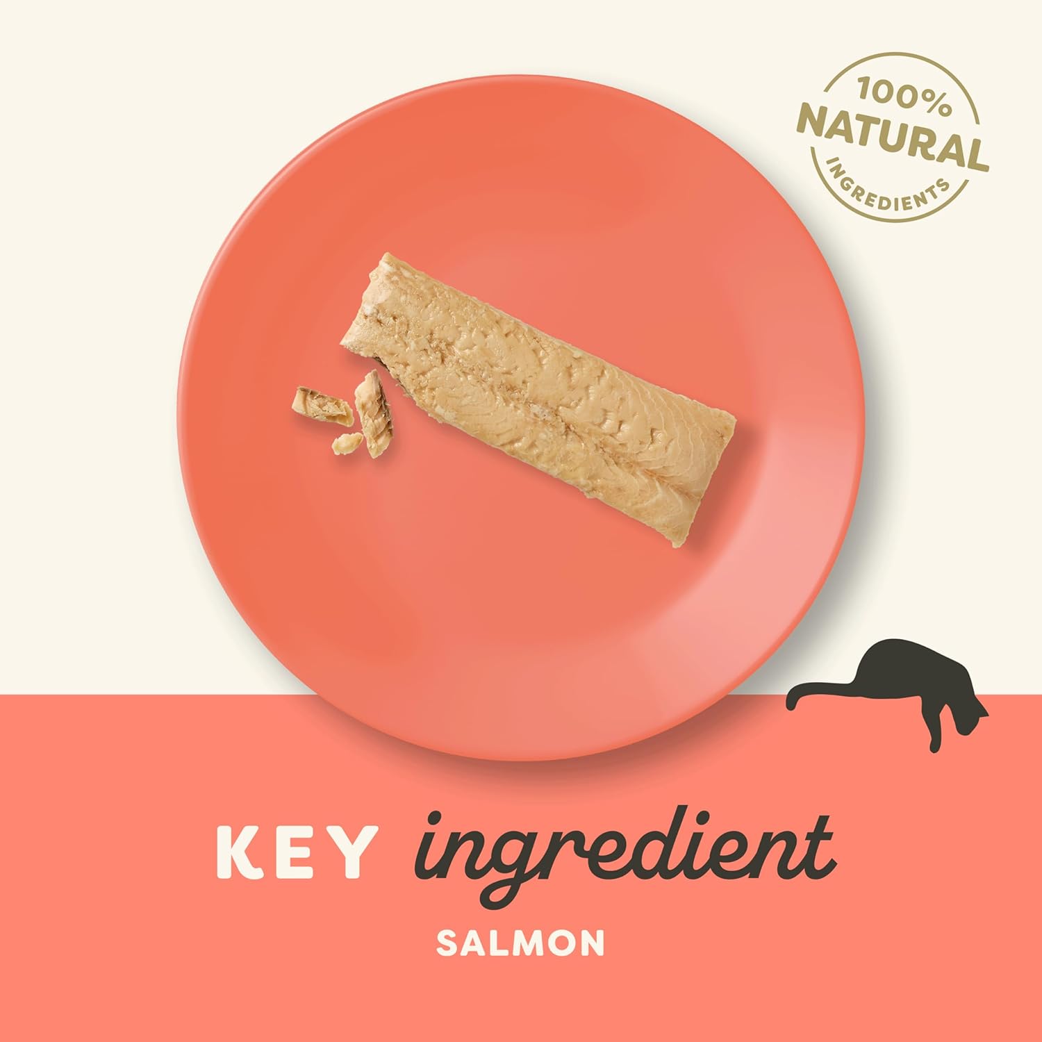 Applaws Cat Snack lomo Salmon - Pack 12 x 30 gr
