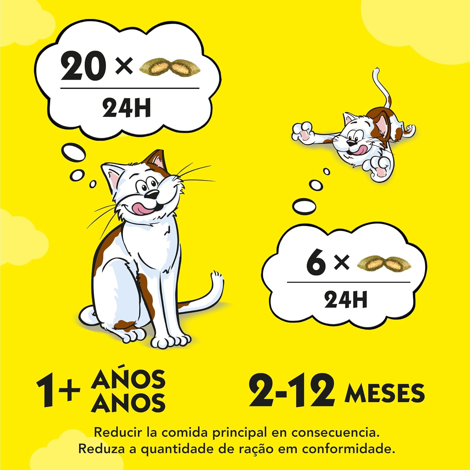Catisfactions CATNIP Hierba Gatera (6 x 60 g)