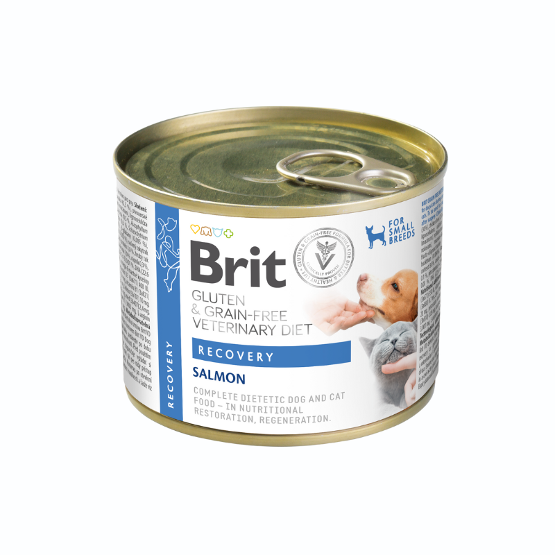 Brit HÚMEDO SG DV Perro RECUPERACIÓN Salmón
