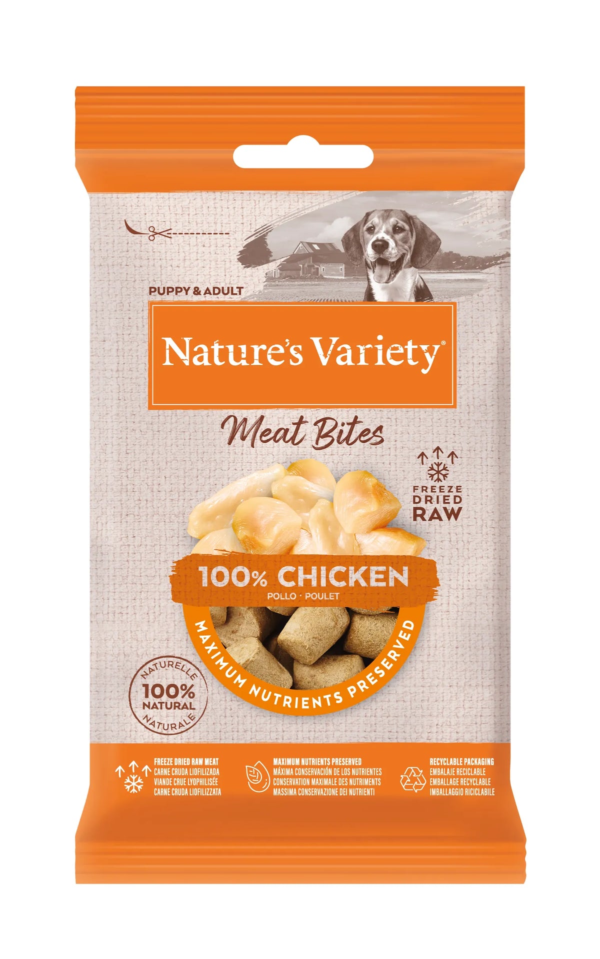 Nature'S Variety Freeze Dried Bites Chiken