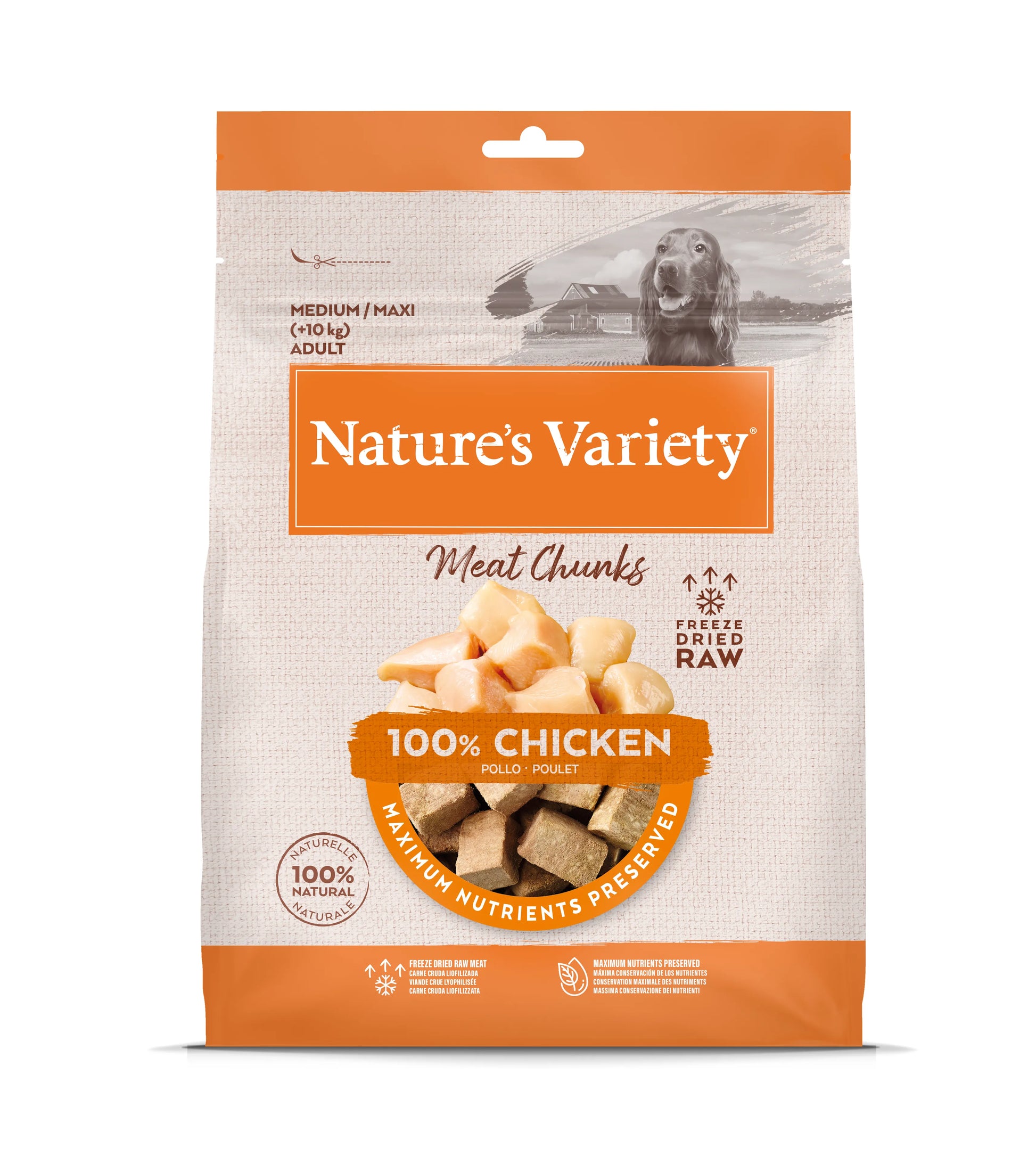 Nature'S Variety Freeze Dried Chunks Chiken
