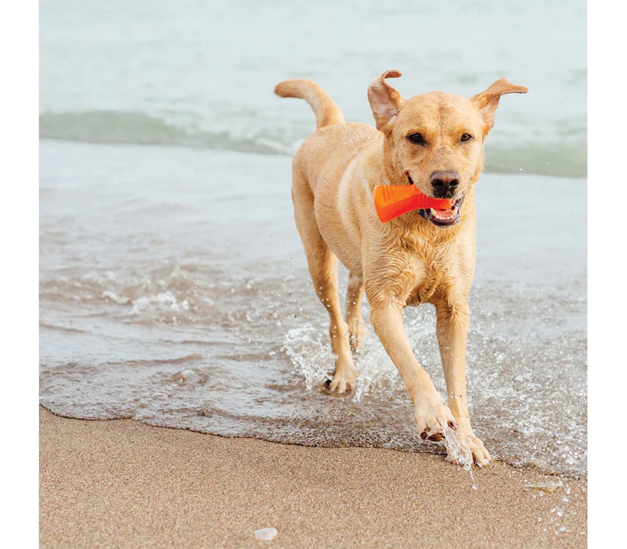 Juguetes ultra resistentes para perros BIONIC Hueso L
