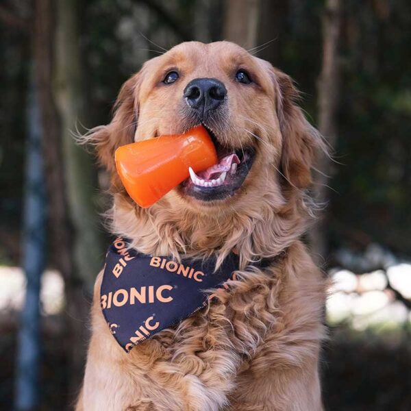Juguetes ultra resistentes para perros BIONIC Treat Shaker L