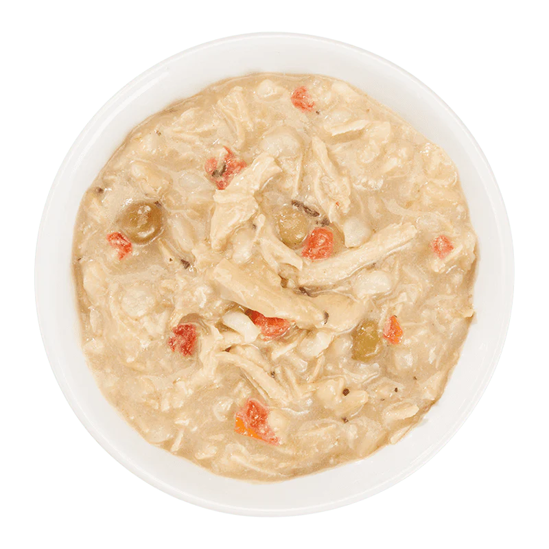 Schesir DOG TASTE THE WORLD Lata Thai Coconut Pollo en Caldo 150 g