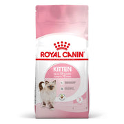 Royal Feline Kitten