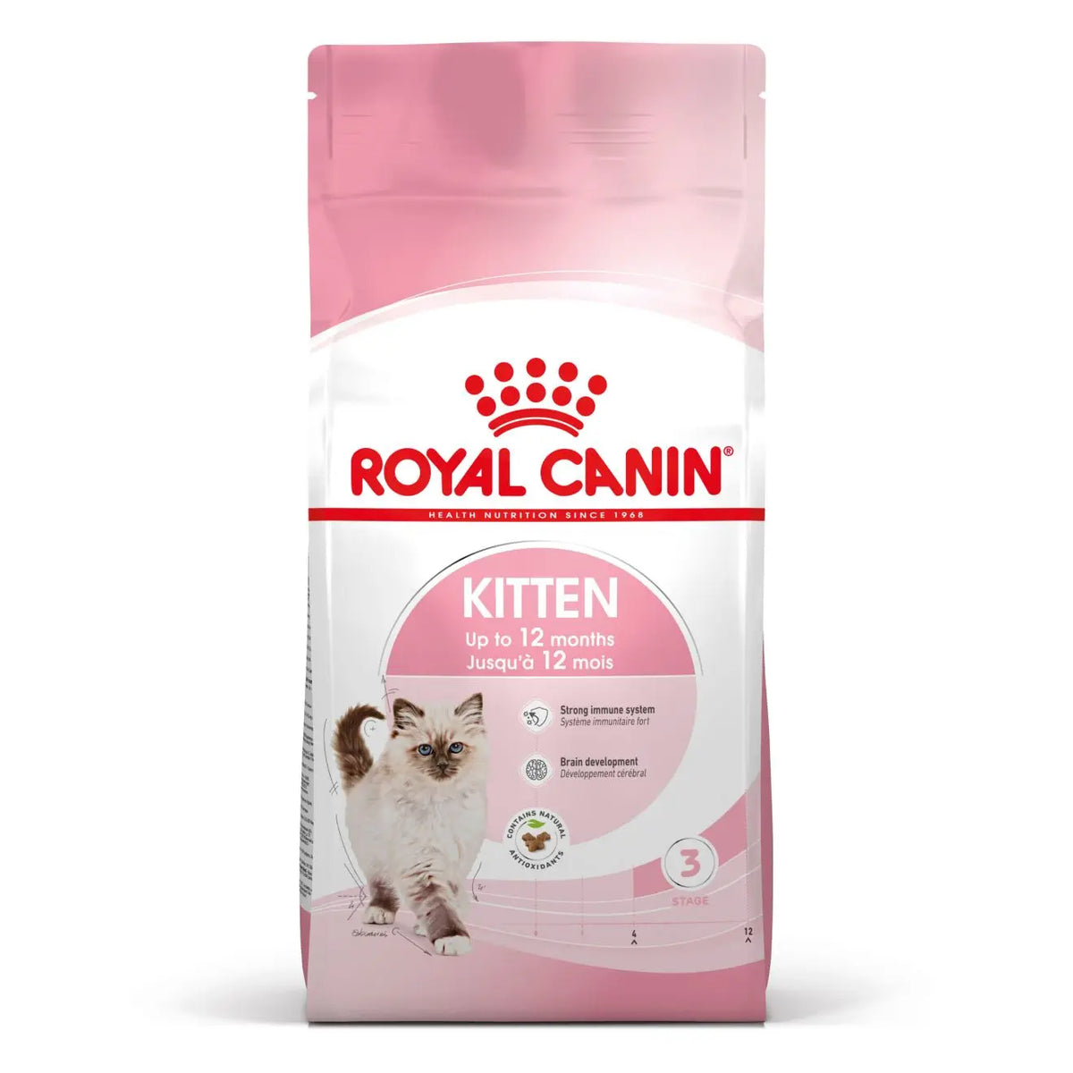 Royal Feline Kitten 36