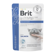 Brit SG DV Gato Salsa RECUPERACIÓN Salmón (12 x 85 g)
