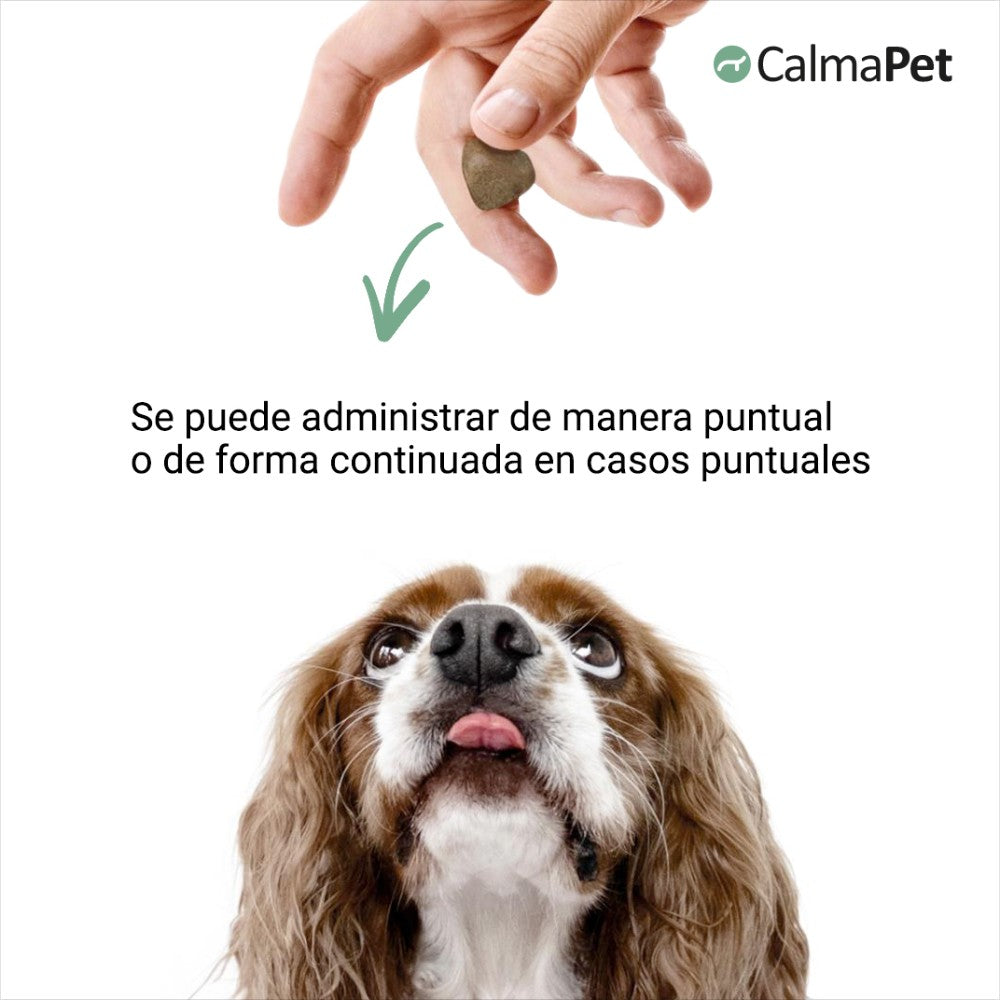 CALMAPET (60 chews)