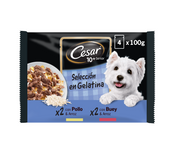 Cesar Senior 10+ Selección en Gelatina Pouch (13 uds. de 4 x 100 g)