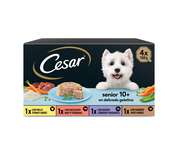 Cesar Senior 10+ Multipack (6 uds. de 4 x 150 g)