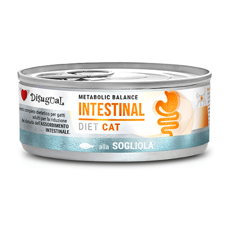 Disugual Metabolic Balance Intestinal Lenguado comida veterinaria para gatos