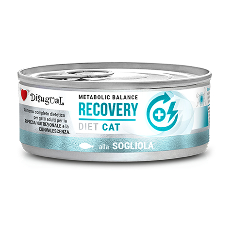 Disugual Metabolic Balance Recovery Lenguado comida veterinaria recuperación gatos