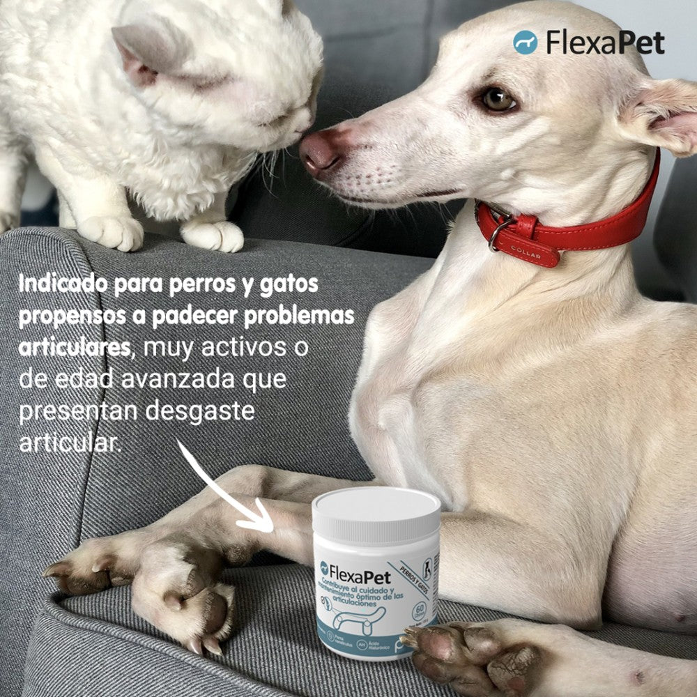 FLEXAPET (60 chews)