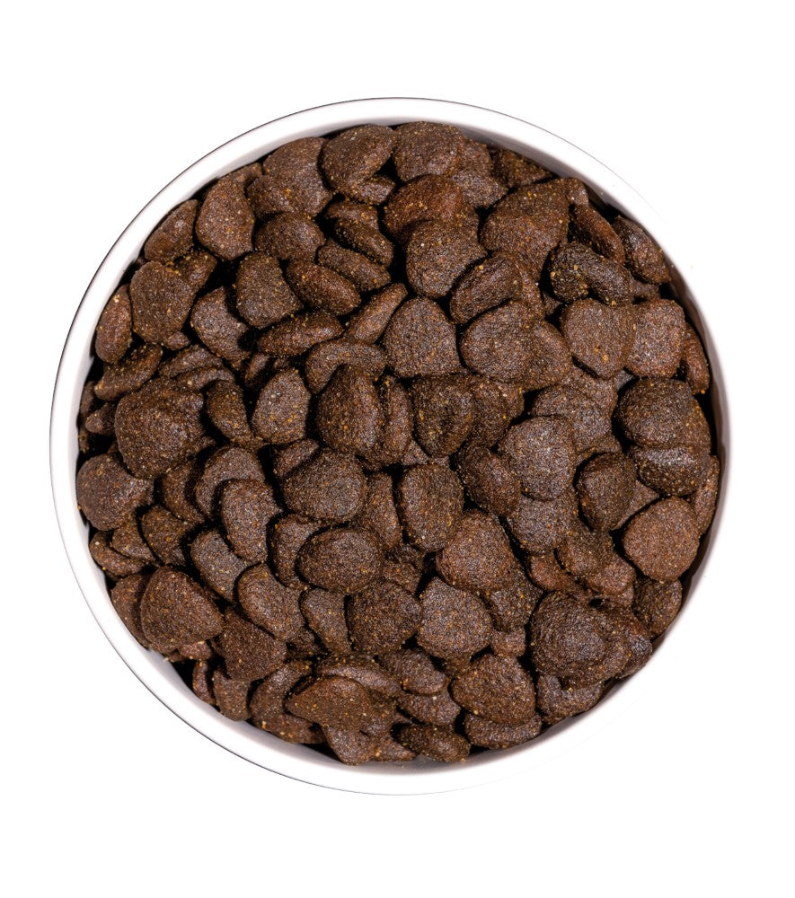 Ownat Just Canine Adult grain Free Cordero