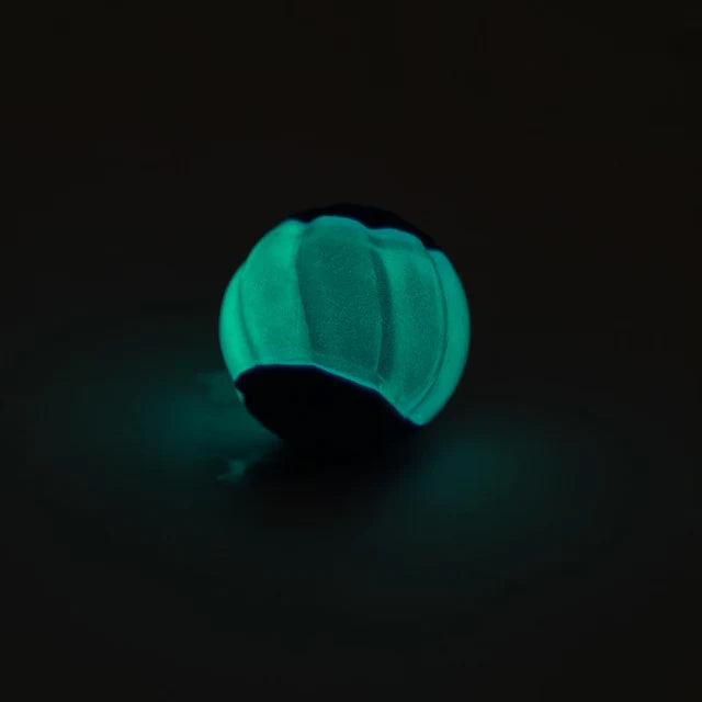 Pelotas para perros Zeus Duo - Pack de 2 LED / M